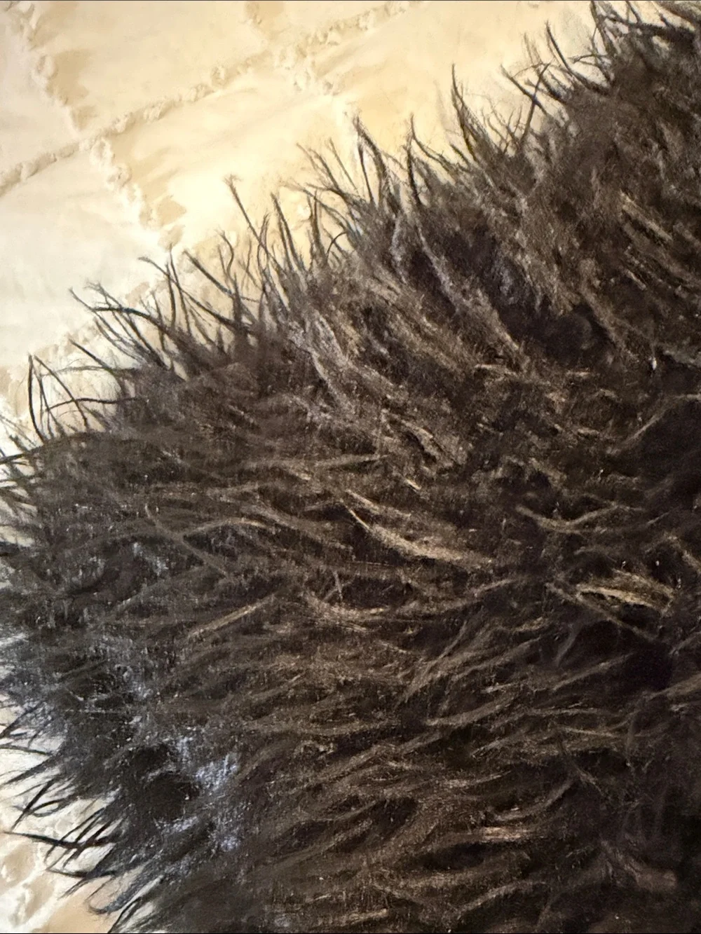 Black Faux Fur Decorative Throw Pillow Cover - Home Accents nwot